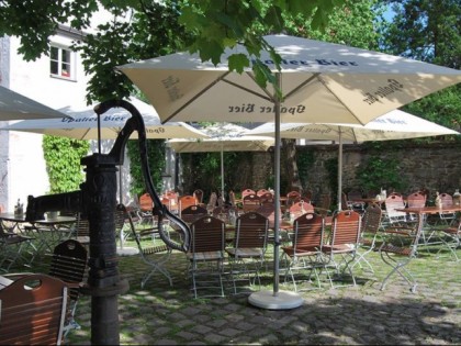 Foto: Der SCHWAN 